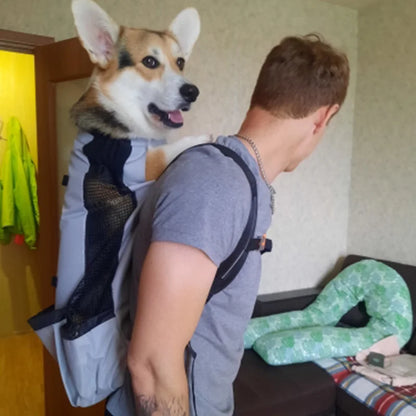 Easy Hands Free Pet Backpack for Small to Large Dogs & Cats